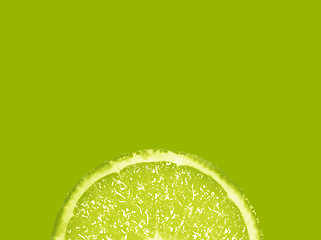 Image showing Slice of fresh lime