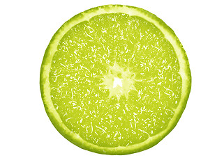 Image showing Slice of fresh lime