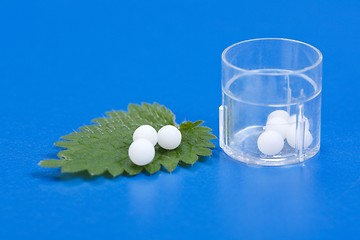 Image showing Homeopathic pills on Urtica Urens leaf