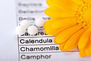 Image showing Calendula Officinalis and word focused on sheet