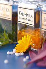 Image showing Close view of Calendula Officinalis plant extract