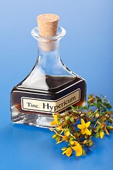 Image showing Hypericum plant and extract