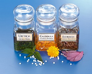 Image showing Various plant extract in bottles and homeopathic medication