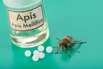 Image showing Apis Mellifica homeopathic pills, poison and bee