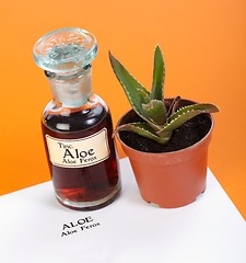 Image showing Aloe Ferox plant, extract and sheet