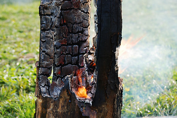 Image showing smouldering tree trunk burned out in the middle