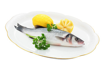 Image showing Fresh sea bass