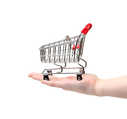 Image showing Shopping Cart on Hand