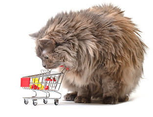 Image showing Cat with Shopping Cart