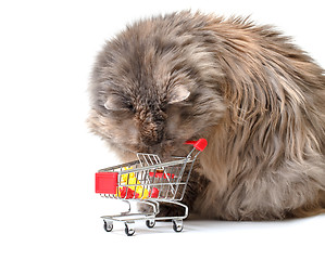 Image showing Cat with Shopping Cart