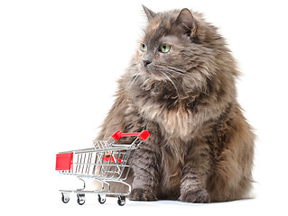 Image showing Cat with Shopping Cart