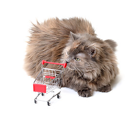 Image showing Cat with Shopping Cart