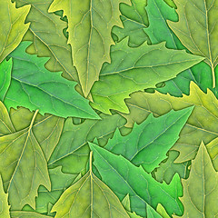 Image showing Seamless pattern of green leafs