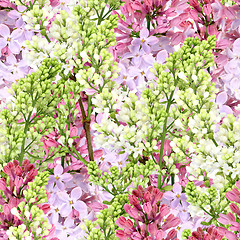 Image showing Abstract seamless background of white and purple lilac