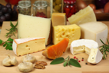 Image showing Cheese variety