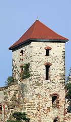 Image showing Castle in Poland