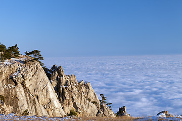 Image showing Sunlit cliffs and sea in clouds