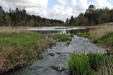 Image showing Lake in Klosterheden 