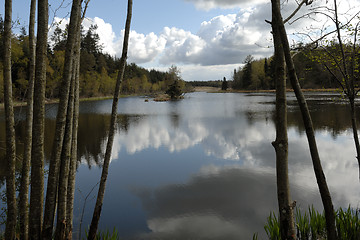 Image showing Territory of Beavers