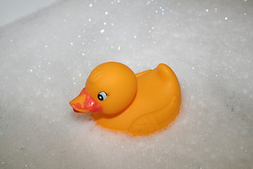 Image showing Yellow rubber duck
