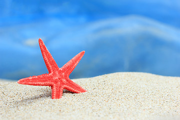 Image showing sea shell on the beach