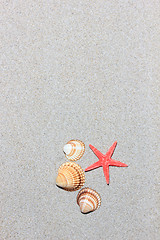 Image showing seashell and starfish in white sand beach