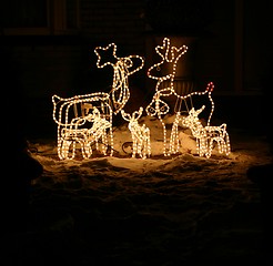 Image showing Reindeer Christmas decoration