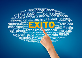 Image showing Exito