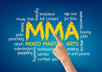 Image showing Mixed Martial Arts