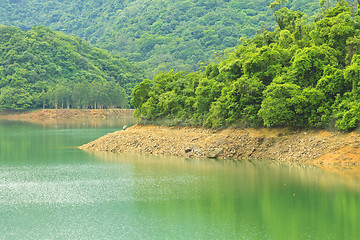 Image showing Forest along the lake