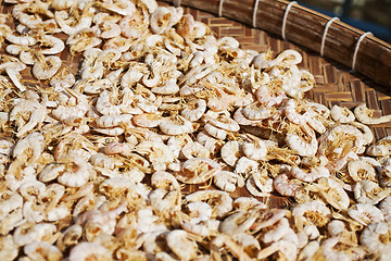 Image showing Dried shrimps