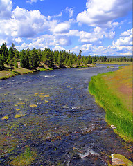 Image showing Yellowstone River Scene