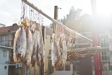 Image showing Salted fishes under sunlight