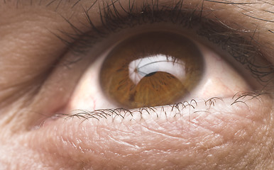 Image showing eye close up