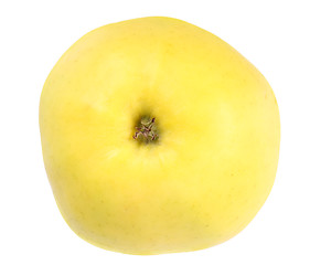 Image showing One fresh yellow apple