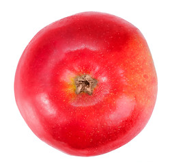 Image showing One fresh red apple