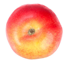 Image showing Fresh red-yellow apple