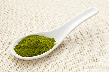 Image showing freeze-dried organic wheat grass powder