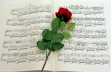 Image showing Rose Music
