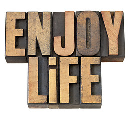 Image showing enjoy life in wood type