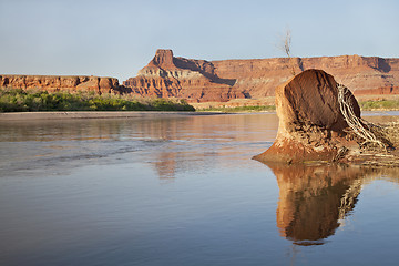 Image showing Colorado River in Canyonlands