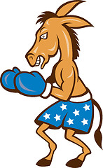 Image showing Donkey Jackass Boxing Stance 