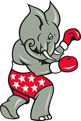 Image showing Elephant Boxer Boxing Stance 