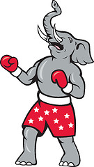 Image showing Elephant Boxer Boxing Stance 