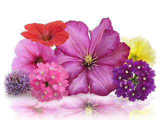 Image showing Fresh Flowers