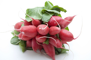 Image showing Radishes