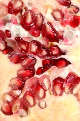 Image showing pomegranate texture