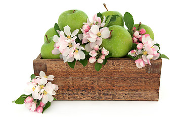 Image showing Granny Smith Apples