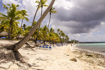 Image showing Palms and Chairs on Caribbean Beach