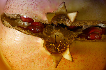 Image showing Pomegranate macro with Seeds